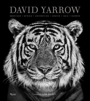 David yarrow photography - David Yarrow David yarrow photography - David Yarrow