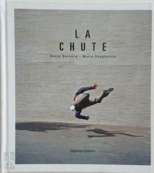 La chute - Denis Darzacq, Marie Desplechin