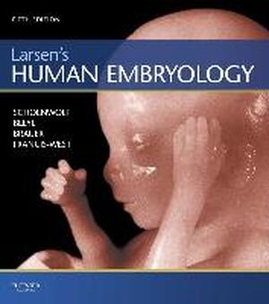 Larsen's Human Embryology - Gary Schoenwolf