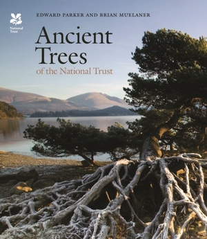 Ancient trees of the national trust - Edward Parker Ancient trees of the national trust - Edward Parker