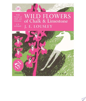 Wild Flowers of Chalk and Limestone (Collins New Naturalist Library, Book 16) - J. E. Lousley Wild Flowers of Chalk and Limestone (Collins New Naturalist Library, Book 16) - J. E. Lousley