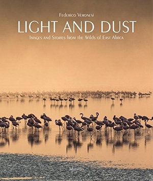 Light and dust - federico veronesi Light and dust - federico veronesi
