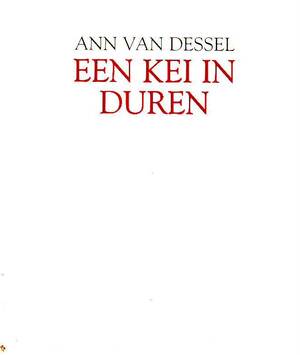 Een kei in duren - Ann Van Dessel