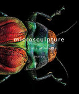 Microsculpture - Levon Biss Microsculpture - Levon Biss