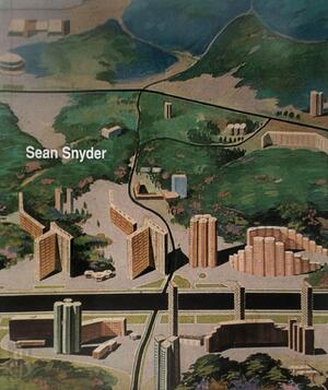 Sean Snyder - Daniel Birnbaum