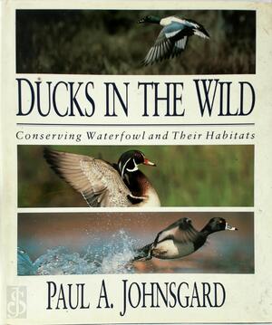 Ducks in the Wild - Paul A. Johnsgard