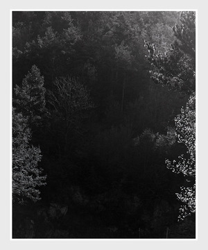 Sequester - Awoiska van der Molen - Awoiska van der Molen Sequester - Awoiska van der Molen - Awoiska van der Molen