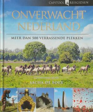 Onverwacht Nederland - meer dan 500 verrassende plekken - Bartho Hendriksen Onverwacht Nederland - meer dan 500 verrassende plekken - Bartho Hendriksen