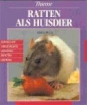 Ratten als huisdier - Gisela Bulla, Meindert de Jong