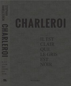 C'est clair que le gris est noir - stephan Vanfleteren C'est clair que le gris est noir - stephan Vanfleteren