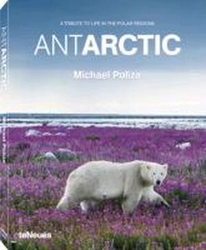 Antarctic - A Tribute to Life in the Polar Regions - Michael Poliza