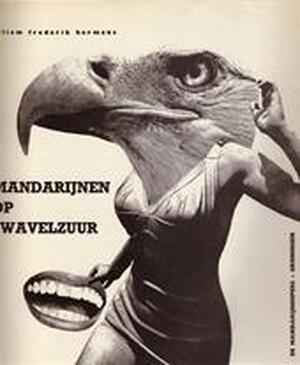 Mandarijnen op zwavelzuur - Willem Frederik Hermans Mandarijnen op zwavelzuur - Willem Frederik Hermans