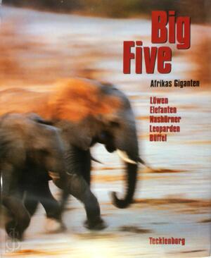 Big five - Stefanie Tecklenborg