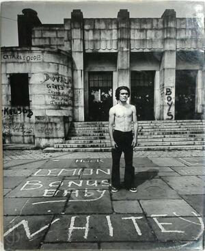 Open space in the inner city . Volume two. Urban teens - Arthur Tress