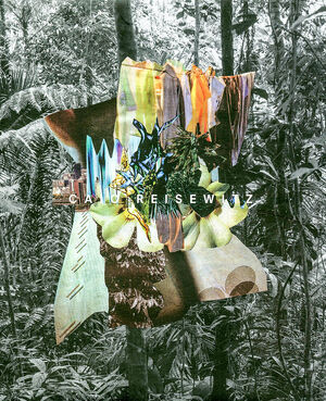 Caio Reisewitz – Disorder - 