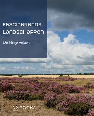 Fascinerende landschappen - Elio Pelzers