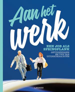 Aan het werk. Een job als springplank (E-boek) - 
