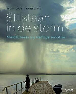 Stilstaan in de storm - Monique Veerkamp Stilstaan in de storm - Monique Veerkamp