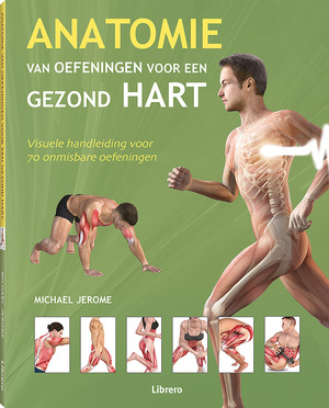 Anatomie van oefeningen voor een gezond hart - 