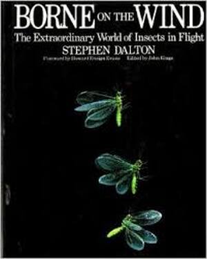 Borne on the Wind - Stephen Dalton