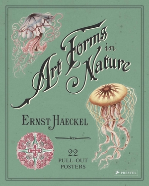 Ernst haeckel: art forms in nature - Kira Uthoff Ernst haeckel: art forms in nature - Kira Uthoff