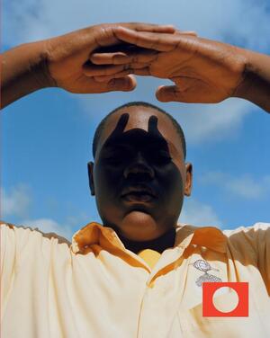 Eregalerij van de Nederlandse fotografie - Frits Gierstberg, Loes van Harrevelt, Birgit Donker