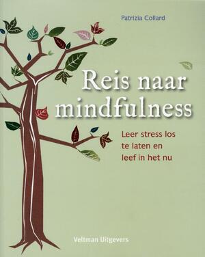 Reis naar mindfulness - Patrizia Collard