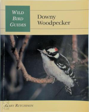Downy Woodpecker - Gary Ritchison