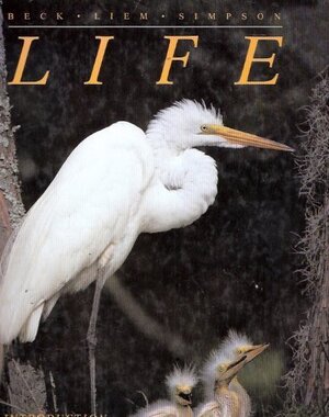 Life - William Samson Beck Life - William Samson Beck