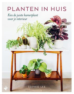 Planten in huis - Sophie Lee Planten in huis - Sophie Lee