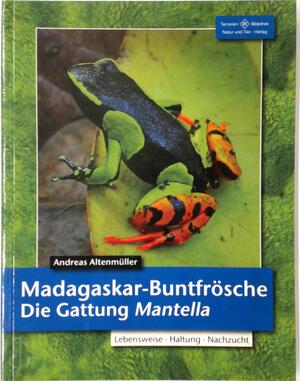 Madagaskar-Buntfrösche - Andreas Altenmüller