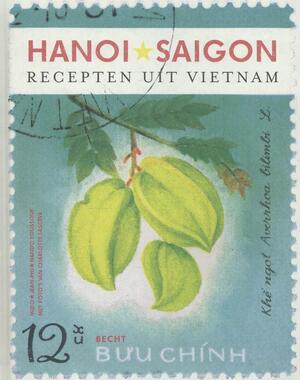 Recepten uit Vietnam - Hanoi*Saigon - Mido, Jean-philippe, Hando Youssouf Recepten uit Vietnam - Hanoi*Saigon - Mido, Jean-philippe, Hando Youssouf