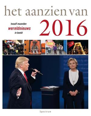 Het aanzien van 2016 - Han van Bree Het aanzien van 2016 - Han van Bree