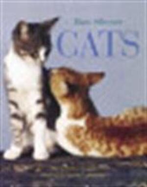 Cats - Hans Silvester, HUBERT Comte Cats - Hans Silvester, HUBERT Comte