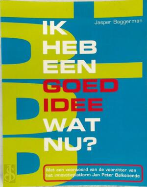 Ik heb een goed idee Wat nu? - J. Baggerman