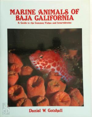 Marine Animals of Baja California - a Guide to the Common Fishes and Invertebrates - Daniel W. Gotshall