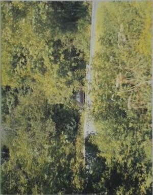 In almost every picture - E. Kessels, Andrea Stultiens