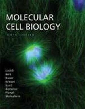 Molecular Cell Biology - Harvey Lodish Molecular Cell Biology - Harvey Lodish