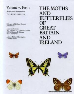 Hesperidae - Nymphalidae - Unknown