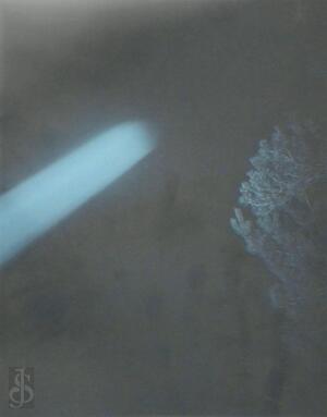 Prophet - Geert Goiris