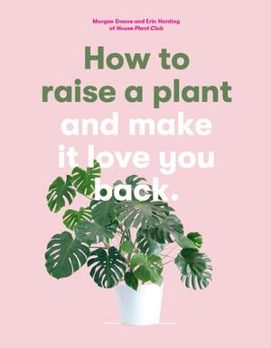 How to Raise a Plant - Morgan Doane