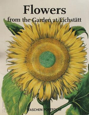 Flowers from the Garden at Eichstätt - Werner Dressendörfer