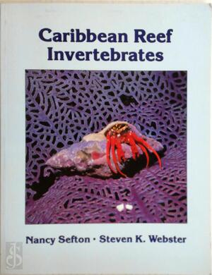 A Field Guide to Caribbean Reef Invertebrates - Nancy Sefton, Steven K. Webster