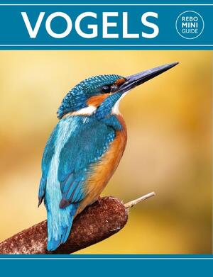 Rebo mini guide - Vogels - Dan Brown Rebo mini guide - Vogels - Dan Brown
