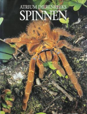 Spinnen - Paul. Sterry Spinnen - Paul. Sterry