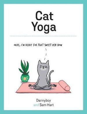 Cat yoga - Cat yoga -