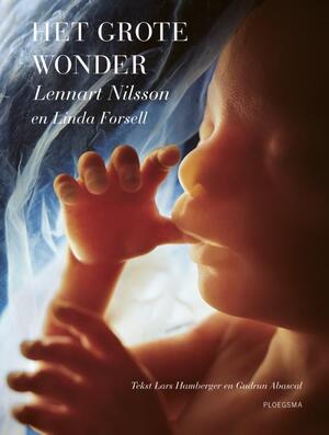 Het grote wonder - Lars Hamberger, Gudrun Abascal