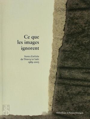 Ce que les images ignorent - Michel Gautier, Sarah Toulouse Ce que les images ignorent - Michel Gautier, Sarah Toulouse