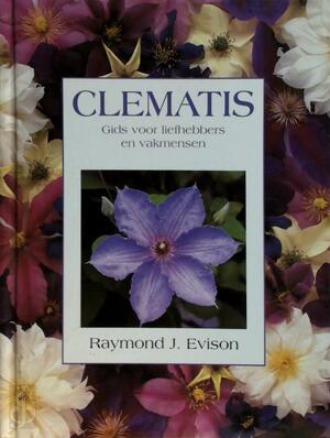Clematis - R.J. Evison Clematis - R.J. Evison