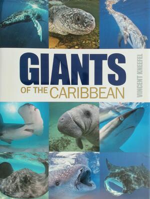 Giants of the Caribbean - Vincent Kneefel